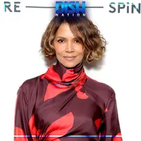 Dish Nation artwork