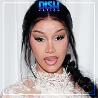 Dish Nation artwork