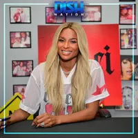 Dish Nation artwork