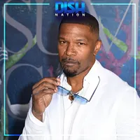 Dish Nation artwork