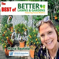 Better Lawns and Gardens artwork