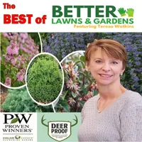 Better Lawns and Gardens artwork