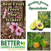 Better Lawns and Gardens artwork