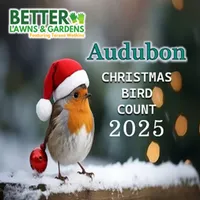 Better Lawns and Gardens artwork