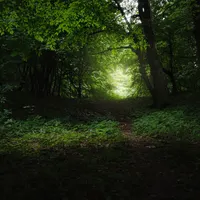 Expanded Perspectives artwork