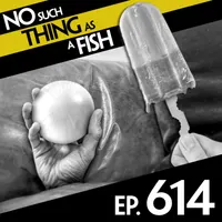No Such Thing As A Fish artwork