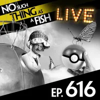 No Such Thing As A Fish artwork