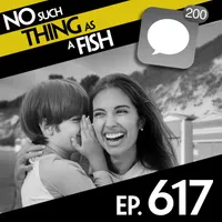 No Such Thing As A Fish artwork