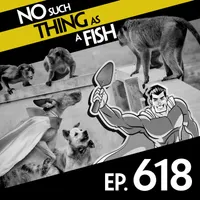No Such Thing As A Fish artwork