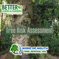 Better Lawns and Gardens artwork