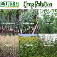 Better Lawns and Gardens artwork