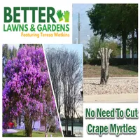 Better Lawns and Gardens artwork