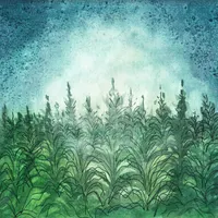 The NoSleep Podcast artwork