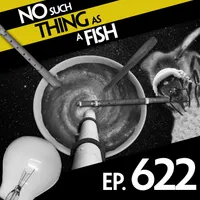 No Such Thing As A Fish artwork