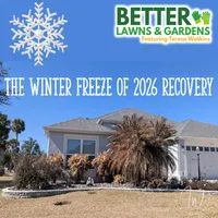 Better Lawns and Gardens artwork
