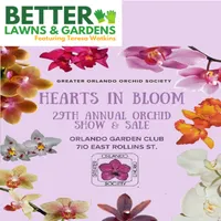 Better Lawns and Gardens artwork