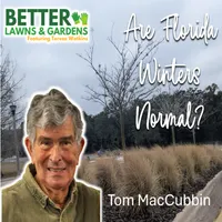 Better Lawns and Gardens artwork