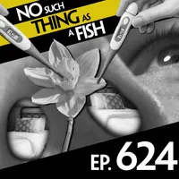 No Such Thing As A Fish artwork