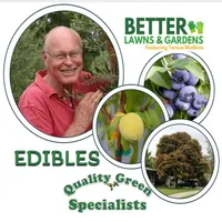 Better Lawns and Gardens artwork
