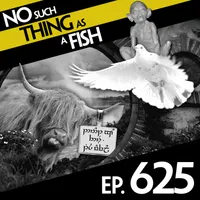No Such Thing As A Fish artwork