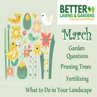 Better Lawns and Gardens artwork