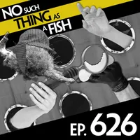 No Such Thing As A Fish artwork
