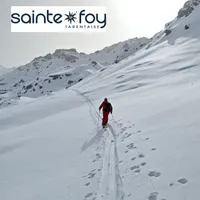 The Ski Podcast artwork