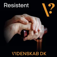 Videnskab.dk Podcast artwork