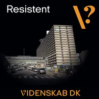 Videnskab.dk Podcast artwork