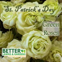 Better Lawns and Gardens artwork