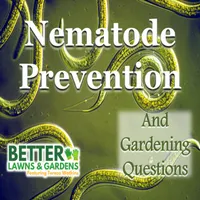 Better Lawns and Gardens artwork