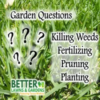 Better Lawns and Gardens artwork
