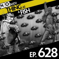 No Such Thing As A Fish artwork