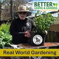 Better Lawns and Gardens artwork