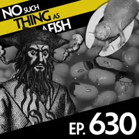 No Such Thing As A Fish artwork