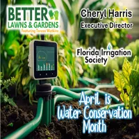 Better Lawns and Gardens artwork