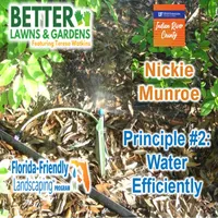Better Lawns and Gardens artwork