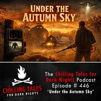 Chilling Tales for Dark Nights — A Horror Fiction Anthology and Scary Stories Series Podcast artwork