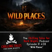 Chilling Tales for Dark Nights — A Horror Fiction Anthology and Scary Stories Series Podcast artwork