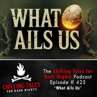 Chilling Tales for Dark Nights — A Horror Fiction Anthology and Scary Stories Series Podcast artwork