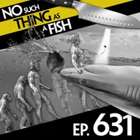 No Such Thing As A Fish artwork