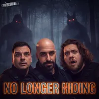 The Confessionals artwork