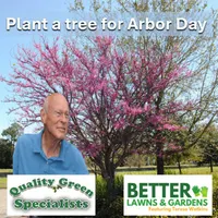 Better Lawns and Gardens artwork