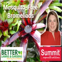 Better Lawns and Gardens artwork