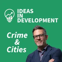 VoxDev Development Economics artwork