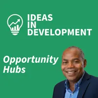 VoxDev Development Economics artwork