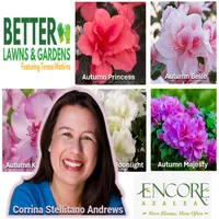 Better Lawns and Gardens artwork