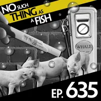 No Such Thing As A Fish artwork