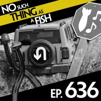 No Such Thing As A Fish artwork