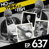 No Such Thing As A Fish artwork